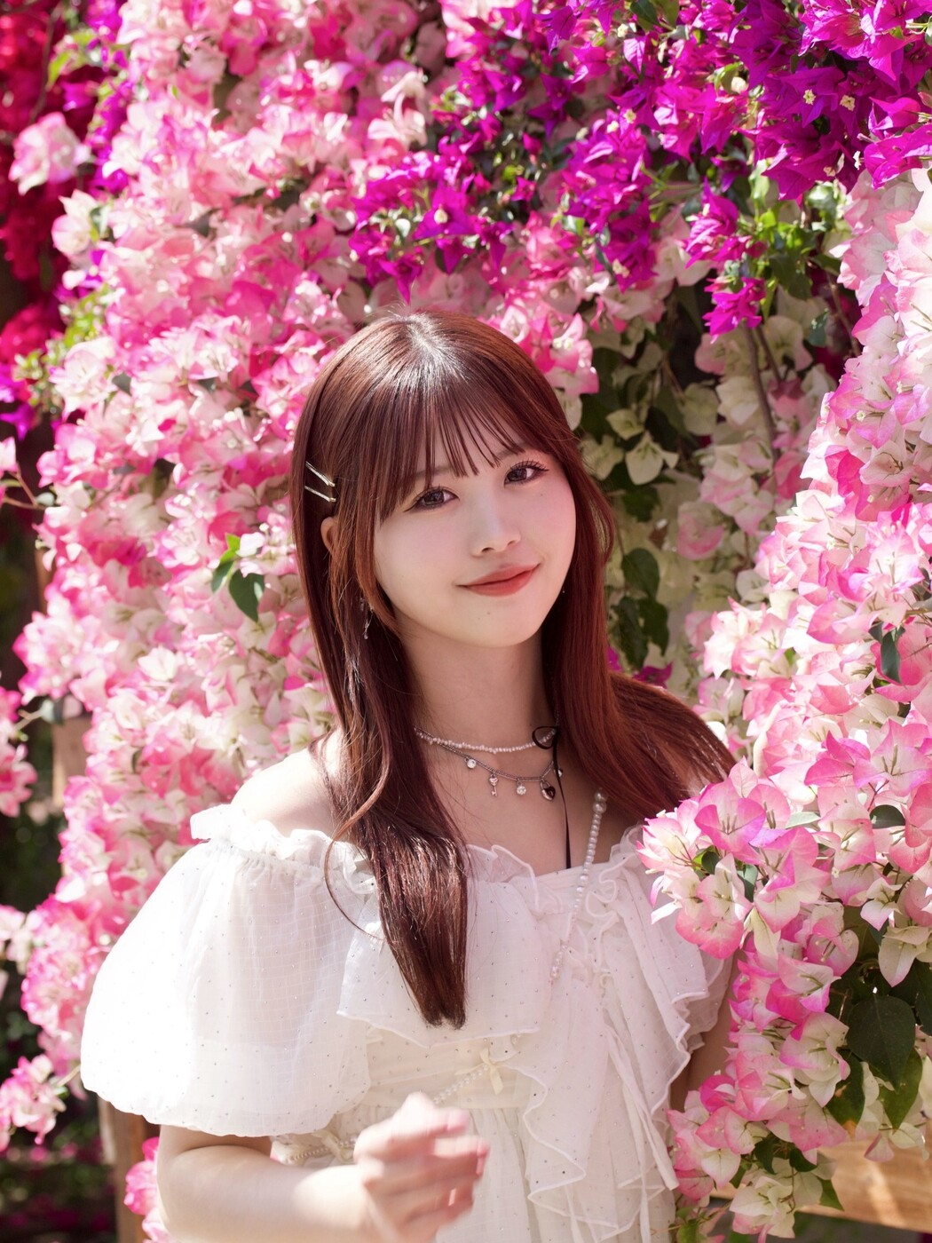 照山楓香