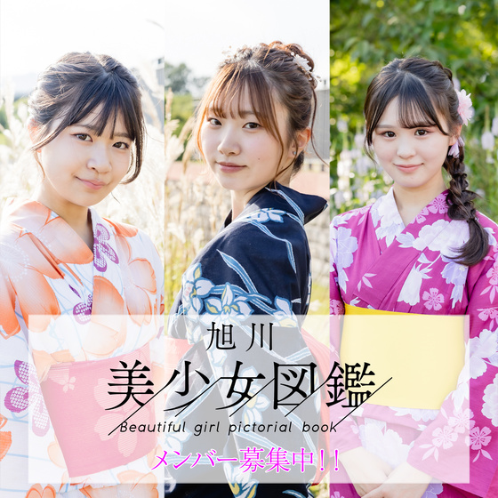 美少女図鑑とは